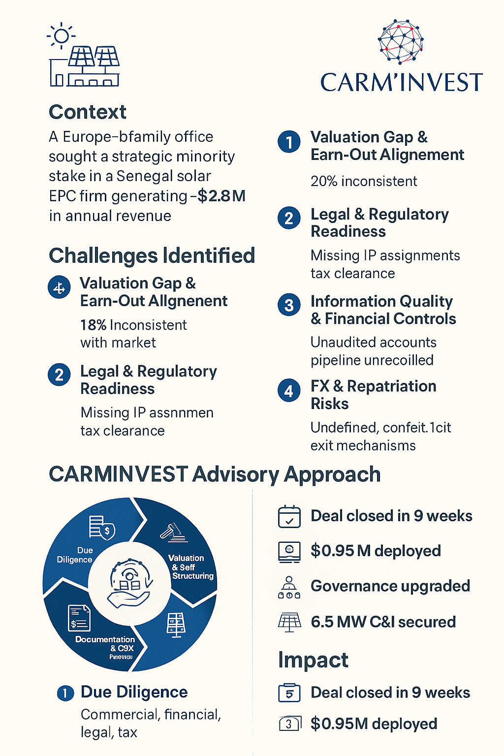 Transaction Advisory & Deal Execution Case Study